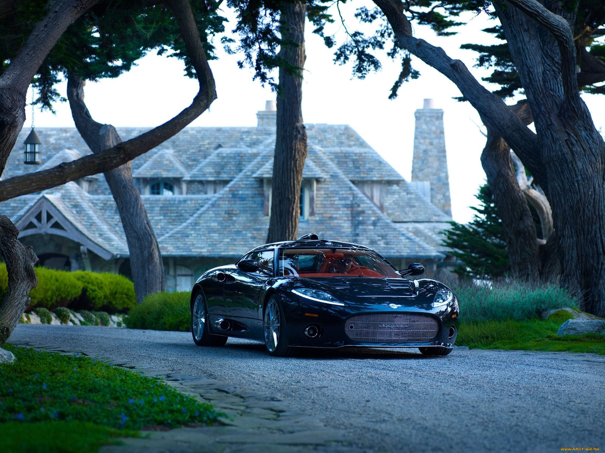 , spyker